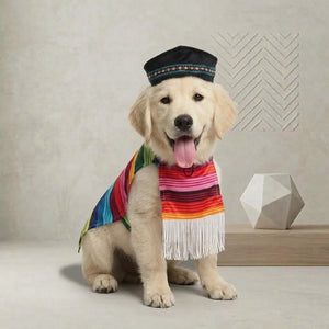 Tamecare Multicolor Mexican Poncho Dog Costume Set