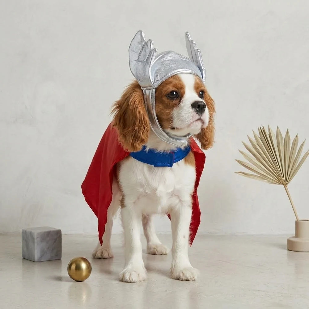 Tamecare Thor Dog Costume Set