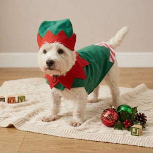 Tamecare Green and Red Christmas Elf Dog Outfit and Hat Set