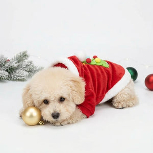 Tamecare Red Christmas Tree Dog Hoodie