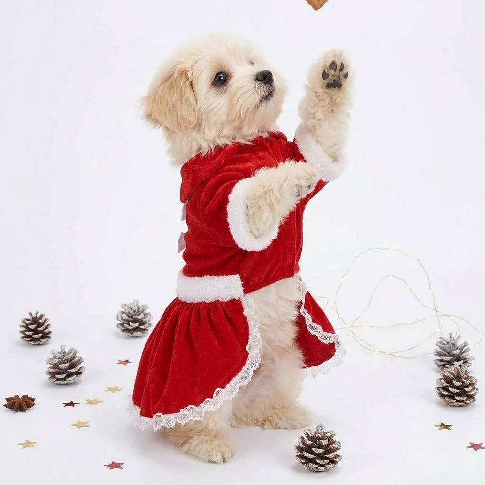 Tamecare Red Christmas Butterfly Skirt Dog Dress