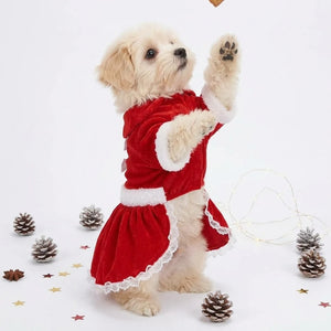 Tamecare Red Christmas Butterfly Skirt Dog Dress