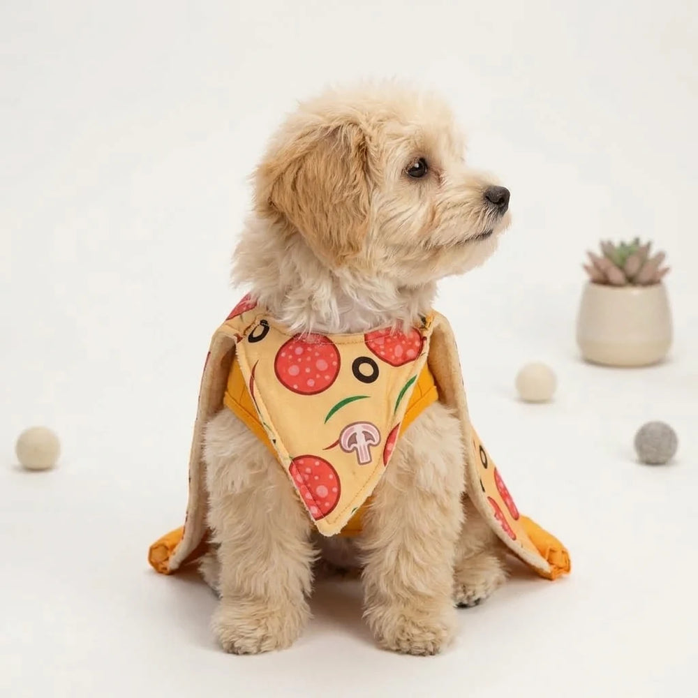 Tamecare Yellow Pizza Party Dog Cape