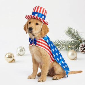 Tamecare Red White and Blue USA Santa Dog Costume