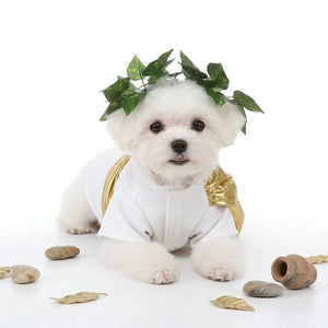 Roman Toga Dog Costume