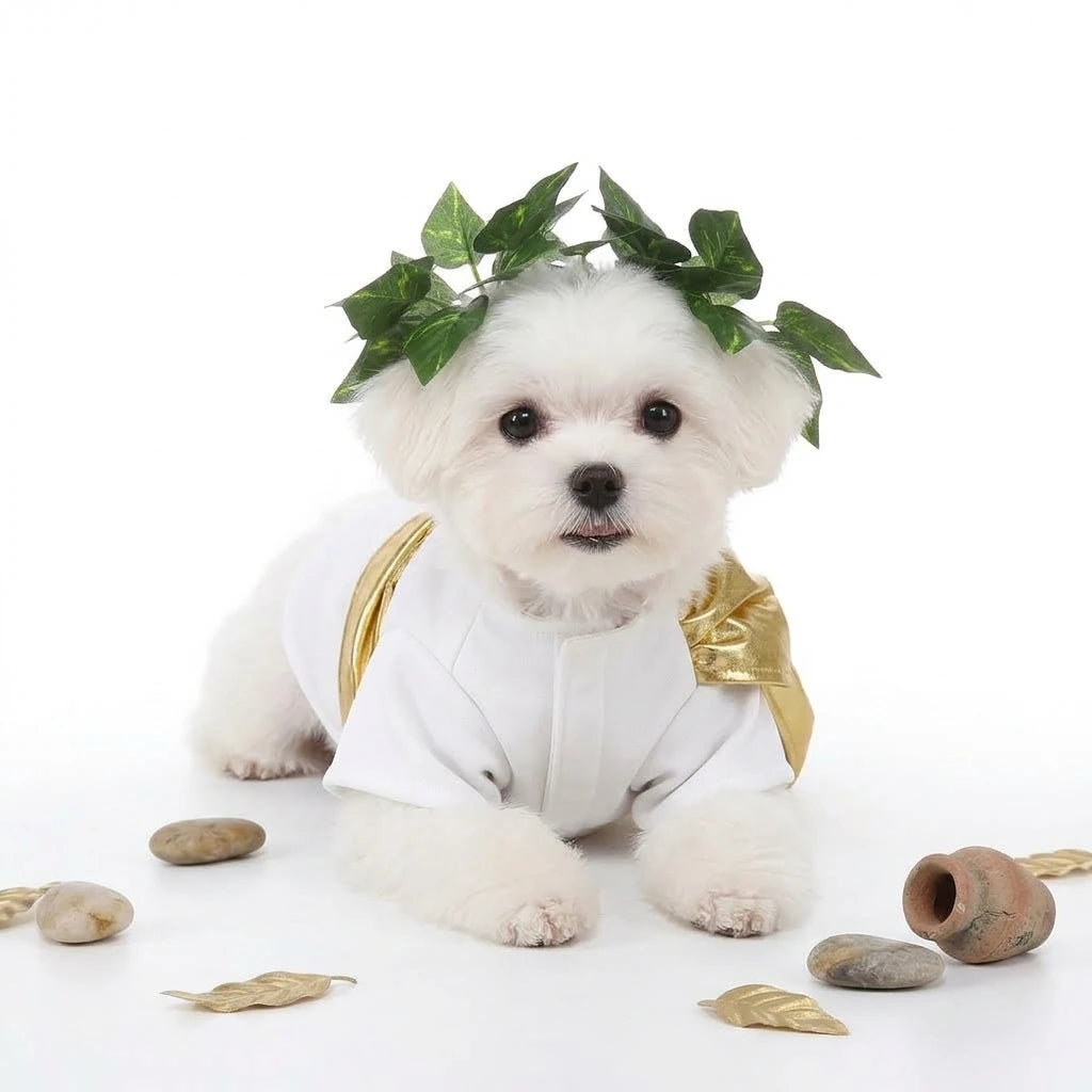Roman Toga Dog Costume