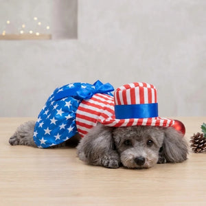 Tamecare Patriotic Stars and Stripes Puppy Dress and Hat Set
