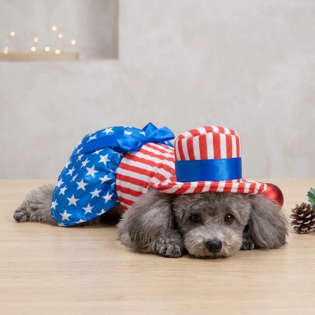 Tamecare Patriotic Stars and Stripes Puppy Dress and Hat Set
