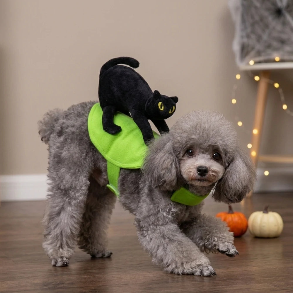 Tamecare Black Cat Rider Halloween Dog Costume