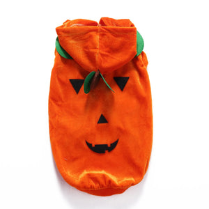 Tamecare Orange Pumpkin Halloween Dog Costume