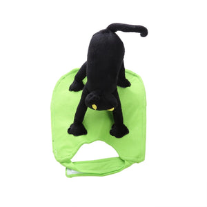 Tamecare Black Cat Rider Halloween Dog Costume