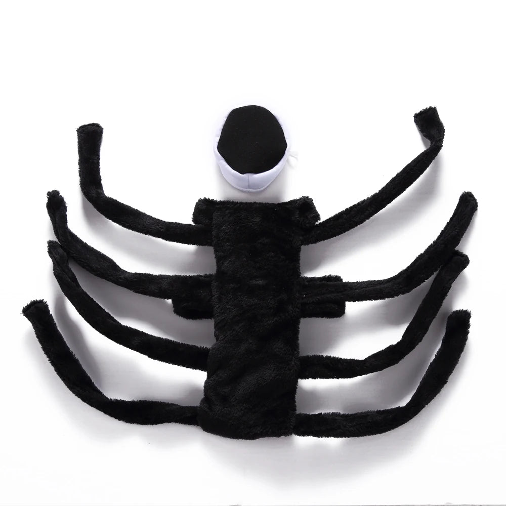Tamecare Black Spider Halloween Dog Costume
