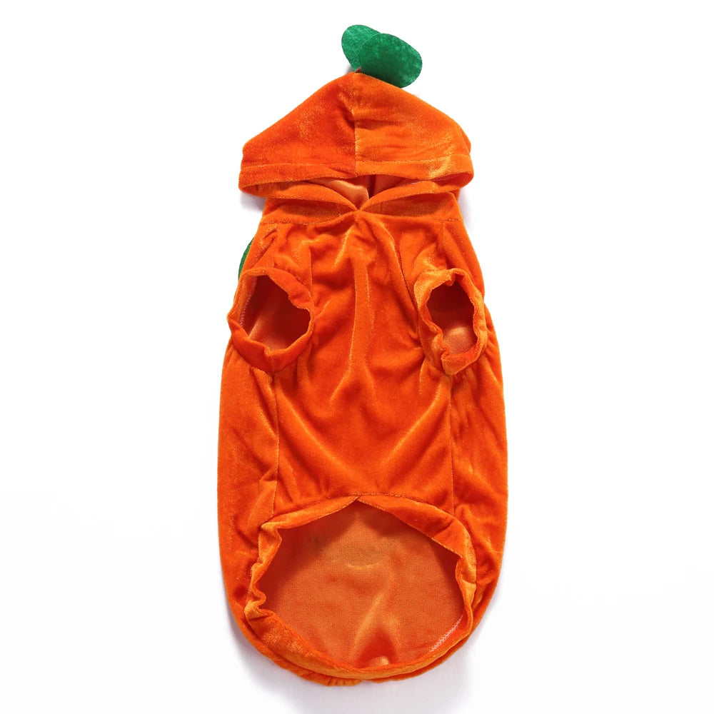 Tamecare Orange Pumpkin Halloween Dog Costume