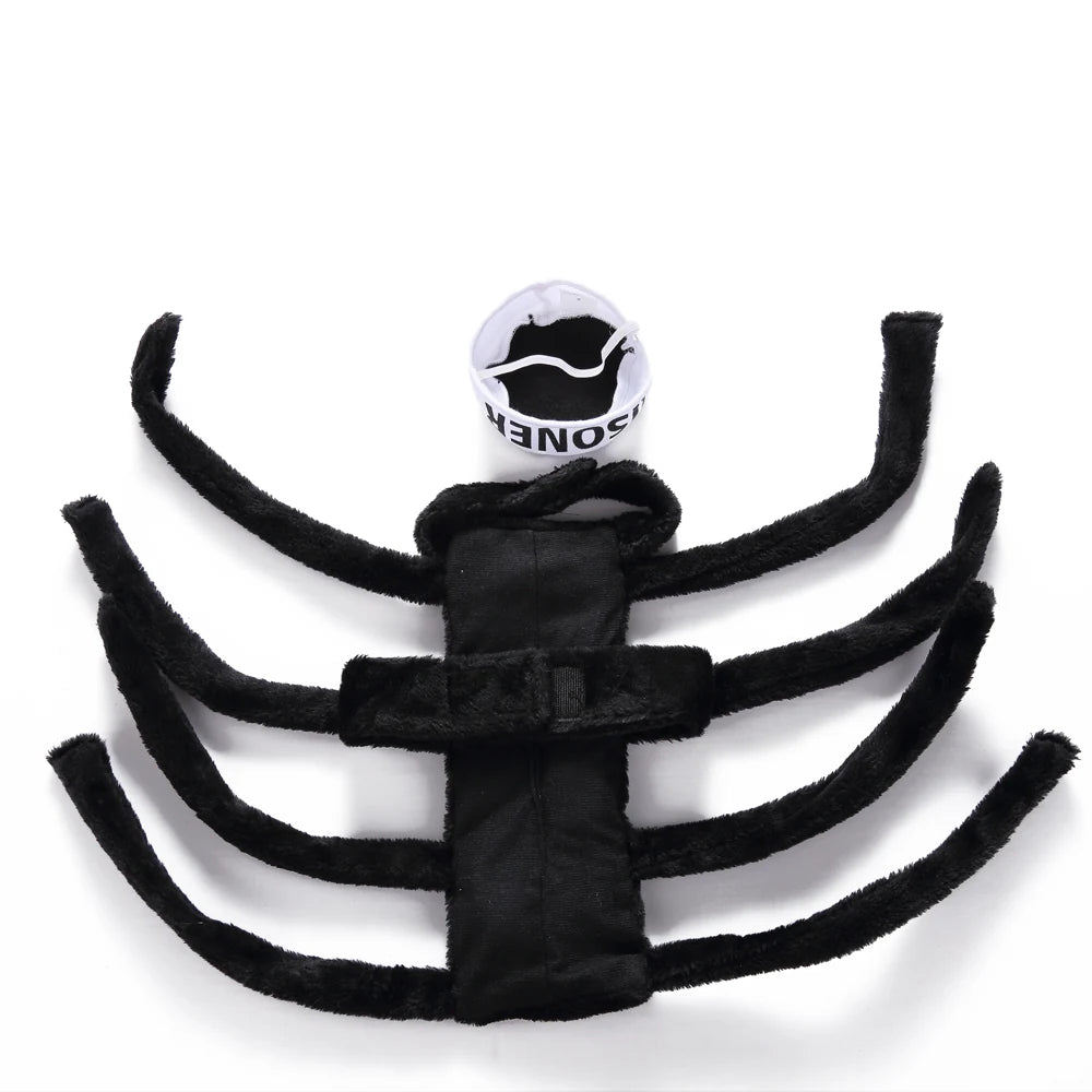 Tamecare Black Spider Halloween Dog Costume