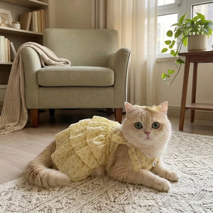 Tamecare Tutu Cat Dress