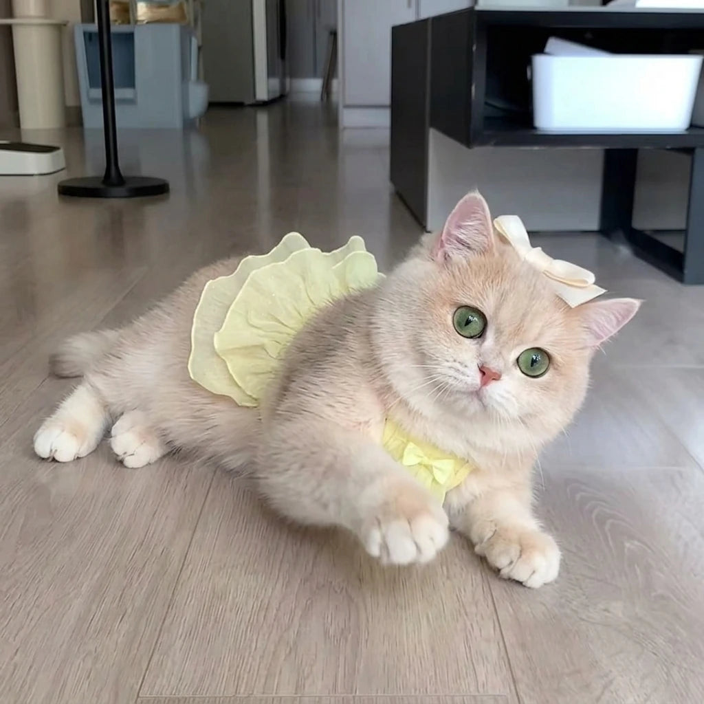 Tamecare Yellow Strap Cat Dress