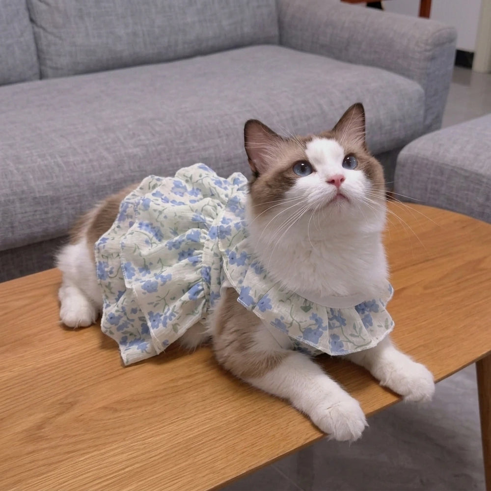 Tamecare Floral Ruffle Cat Dress