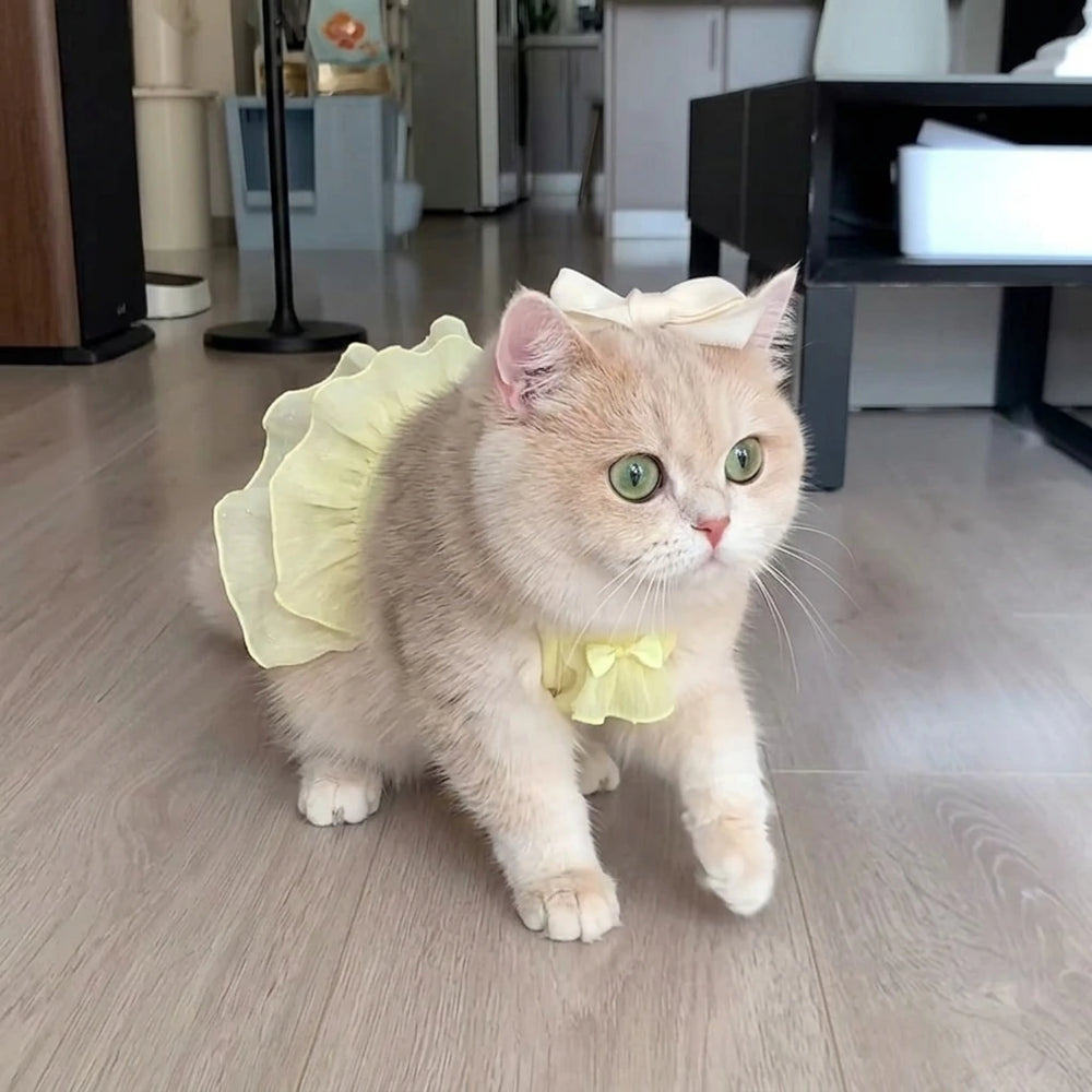 Tamecare Yellow Strap Cat Dress