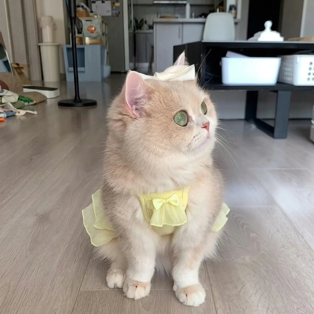 Tamecare Yellow Strap Cat Dress