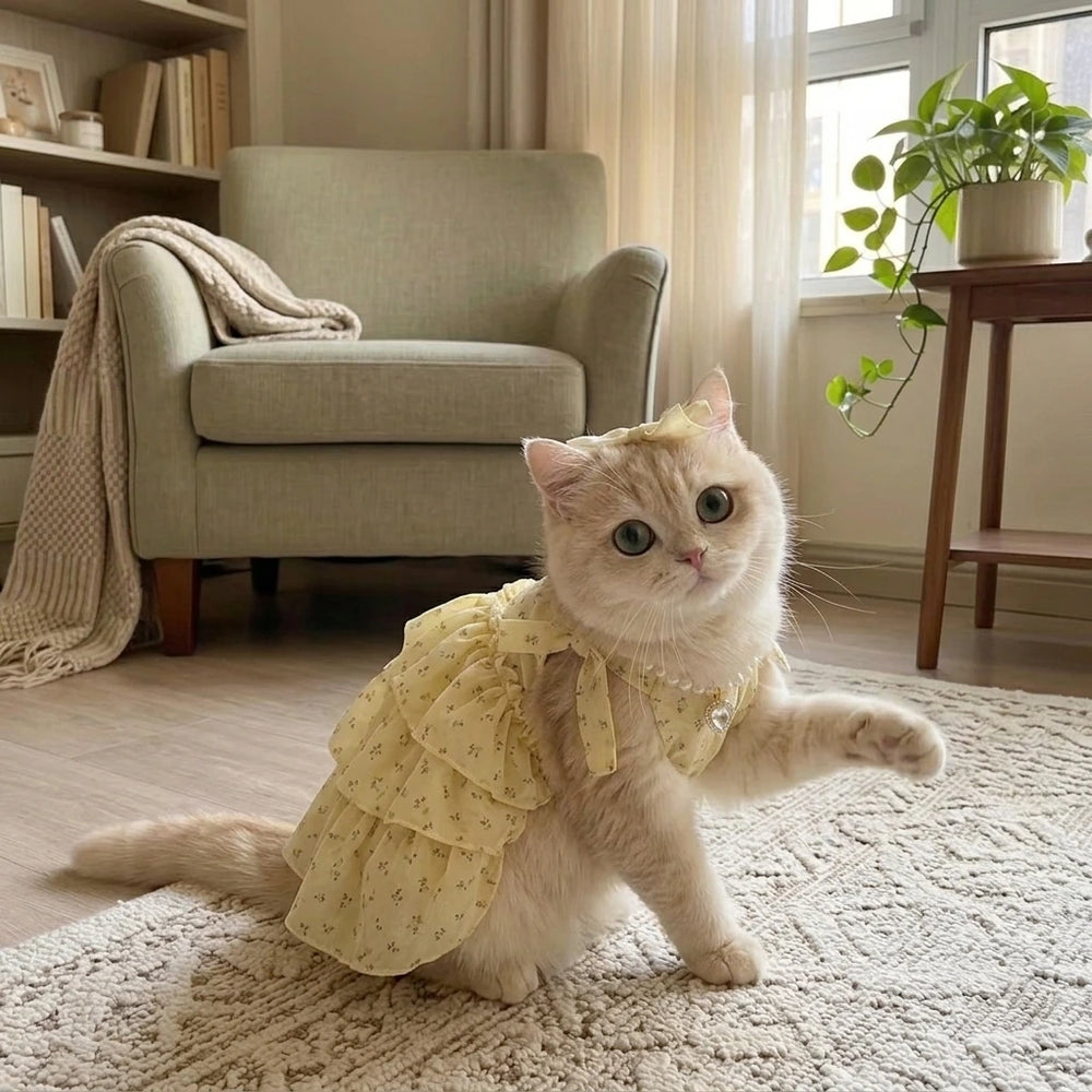 Tamecare Tutu Cat Dress