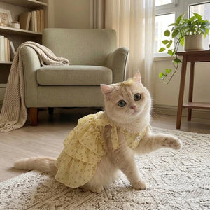 Tamecare Tutu Cat Dress