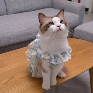 Tamecare Floral Ruffle Cat Dress