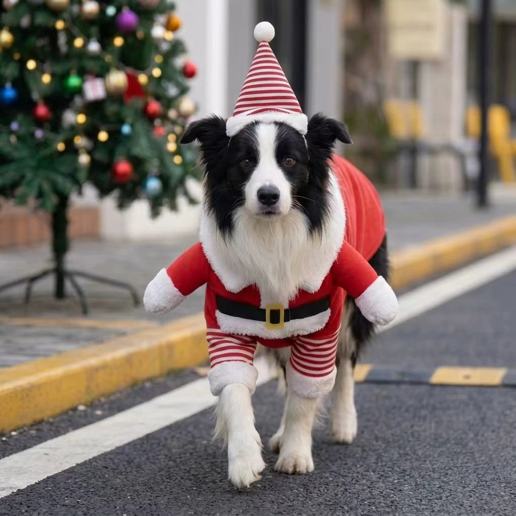 Tamecare Christmas Santa Dog Costume Set