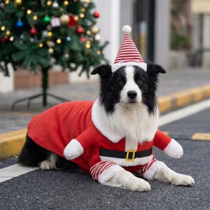 Tamecare Christmas Santa Dog Costume Set