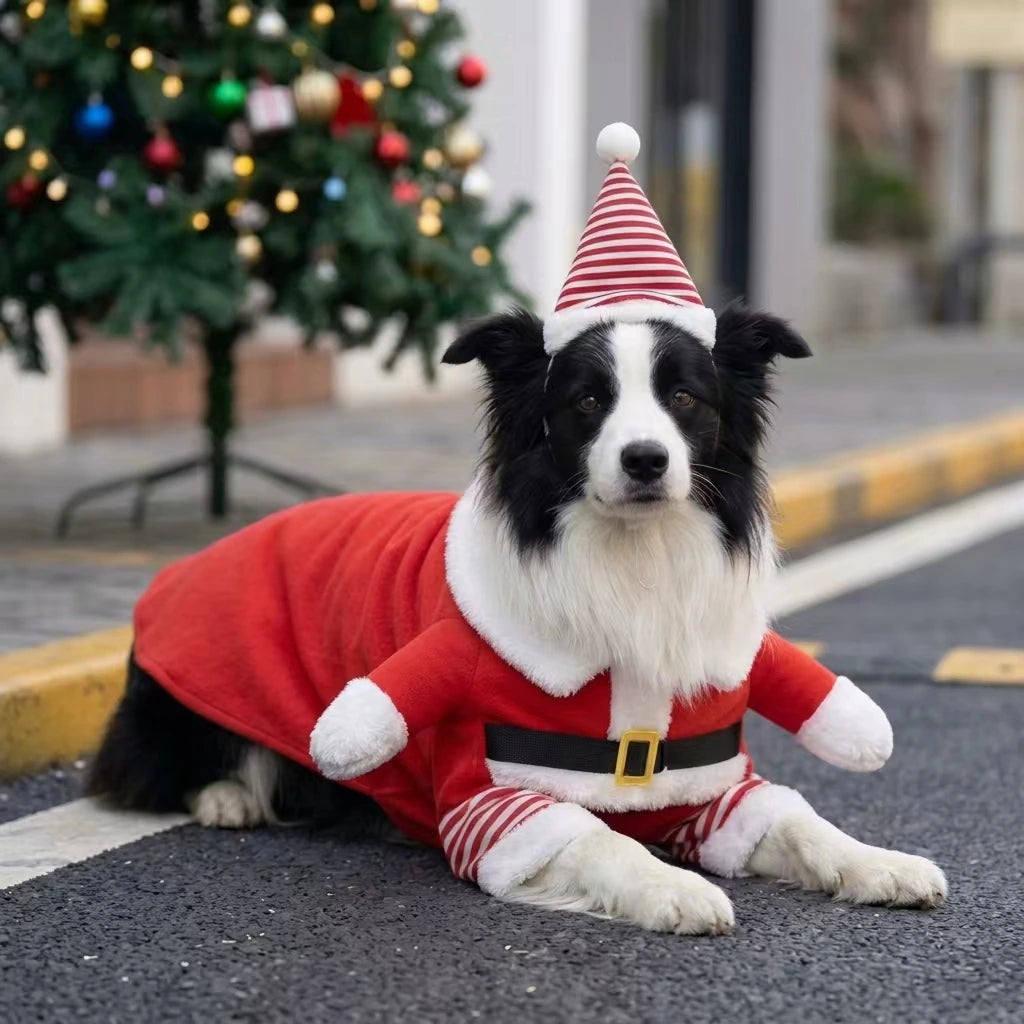 Tamecare Christmas Santa Dog Costume Set