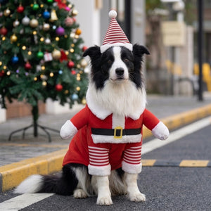 Tamecare Christmas Santa Dog Costume Set
