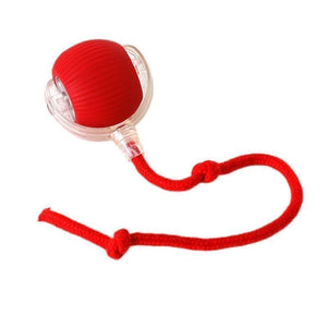 Light Up Luminous Pet Chew Ball with Durable Braided Ropecolor