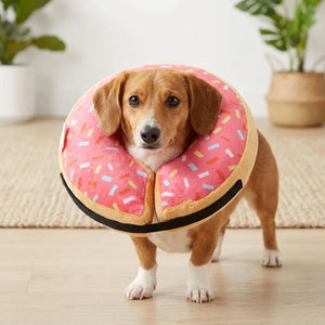 Donut Inflatable Collar