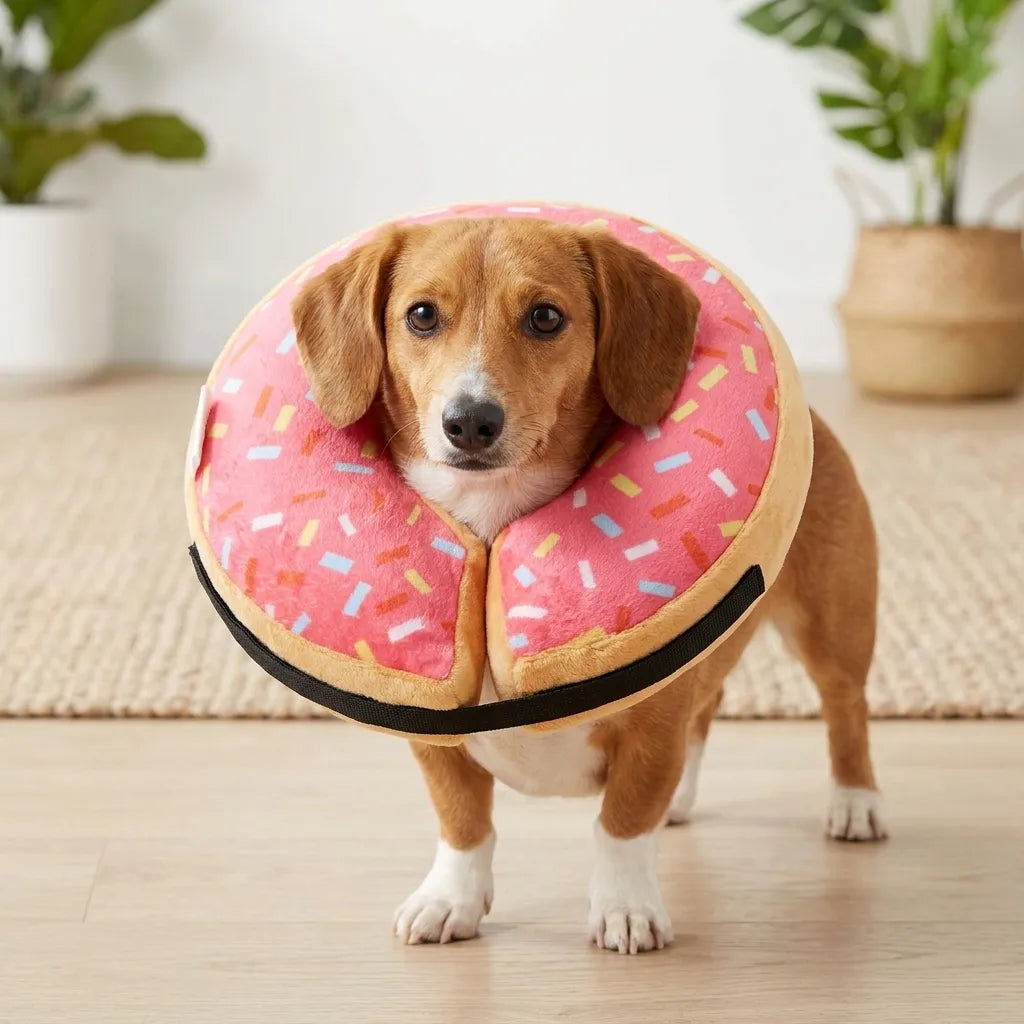 Donut Inflatable Collar