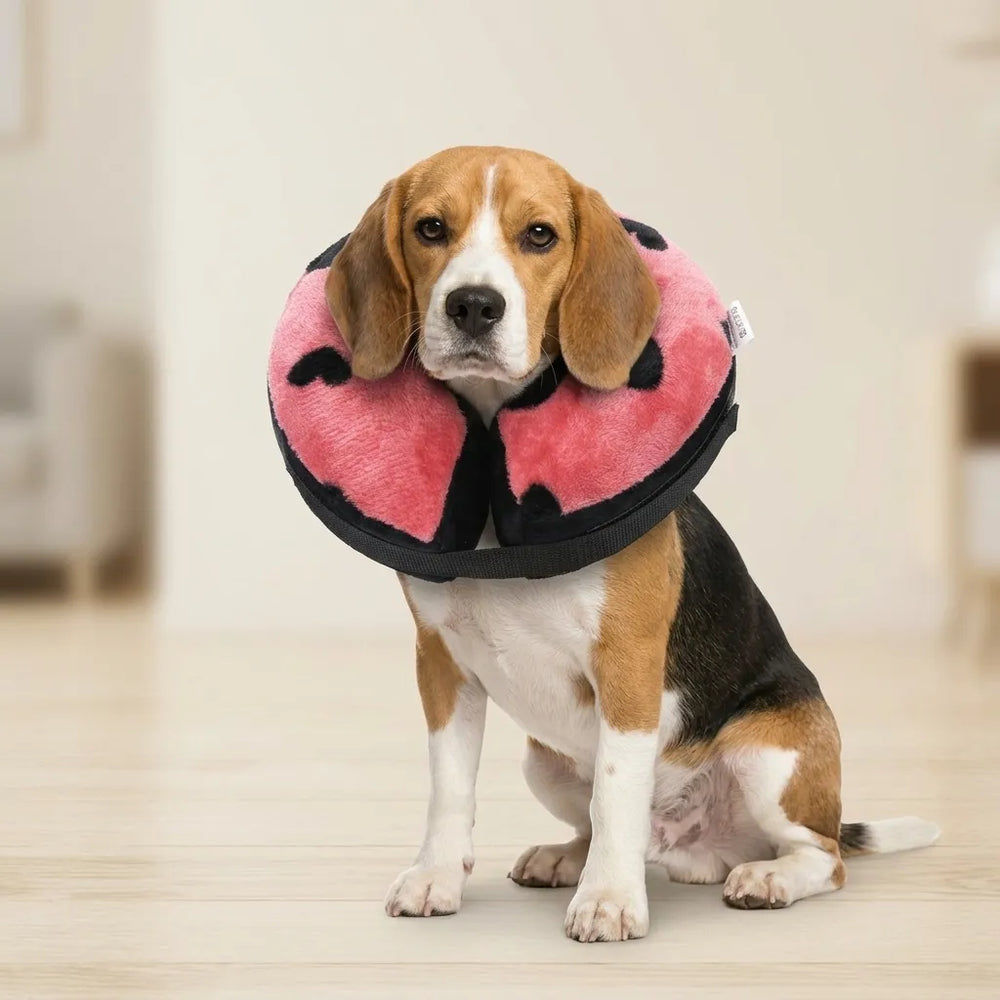 Tamecare Pink Heart Inflatable Recovery Collar for Dogs & Cats