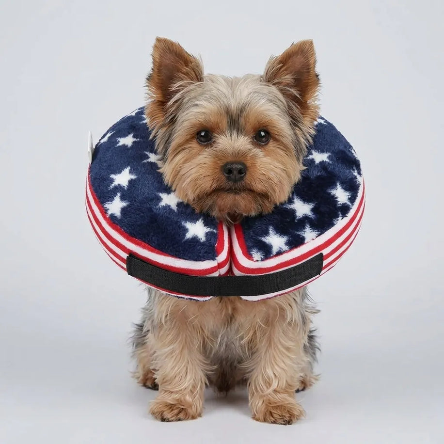 Tamecare USA Stars Inflatable Recovery Collar, Navy Flag Print
