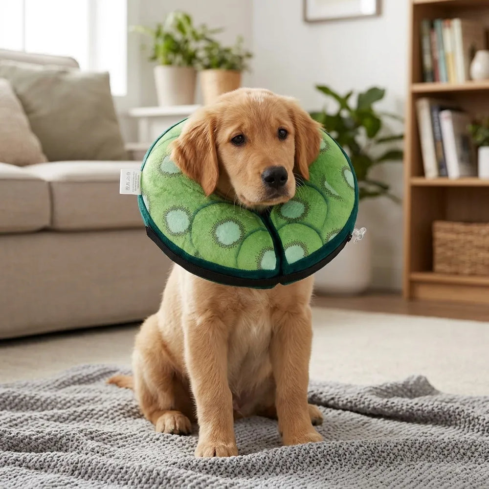 Tamecare Kiwi Inflatable Recovery Collar for Dogs & Cats