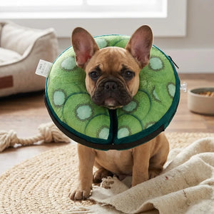 Tamecare Kiwi Inflatable Recovery Collar for Dogs & Cats