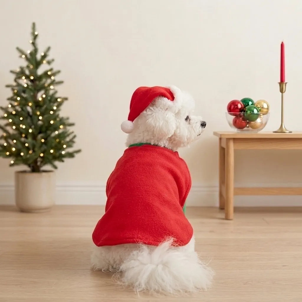 Tamecare Christmas Knight Dog Costume Set