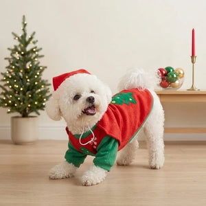 Tamecare Christmas Knight Dog Costume Set