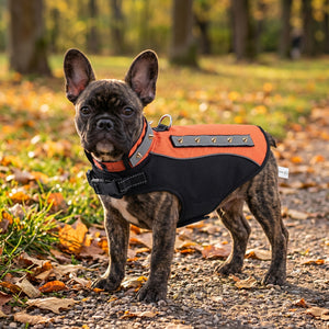 Rivet Breathable Pet Anti-Attack Protective Jacket
