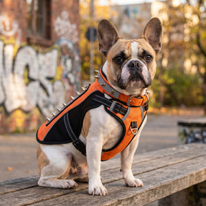 Rivet Breathable Pet Anti-Attack Protective Jacket