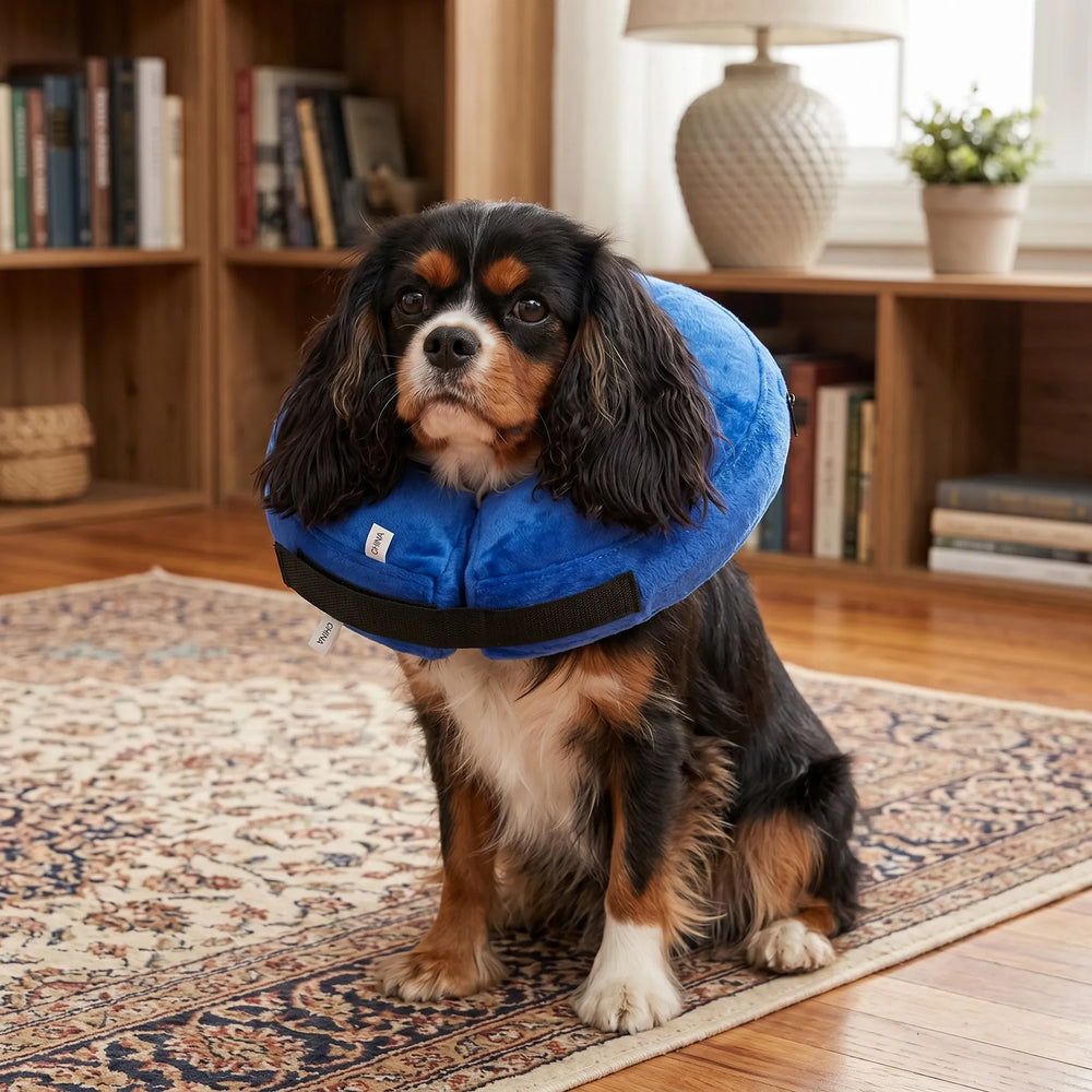 Inflatable protective cover