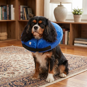 Inflatable protective cover