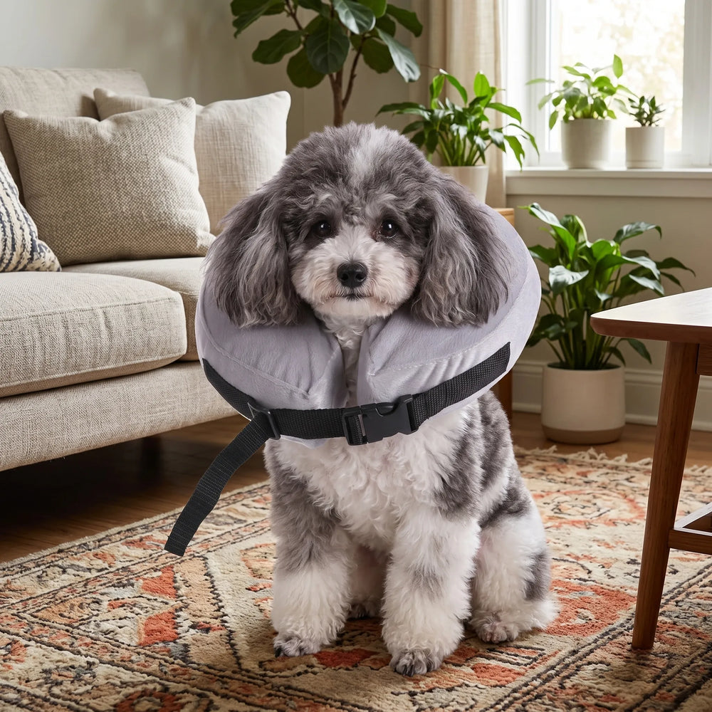 Inflatable protective cover
