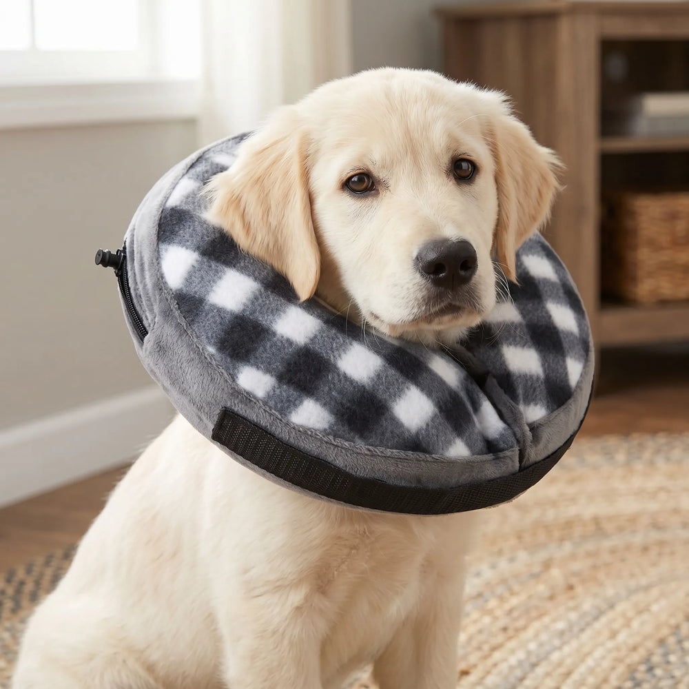 Pet inflatable protective collar