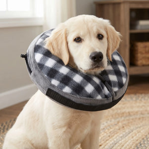 Pet inflatable protective collar