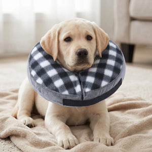 Pet inflatable protective collar