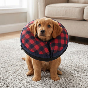 Pet inflatable protective collar