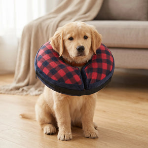 Pet inflatable protective collar