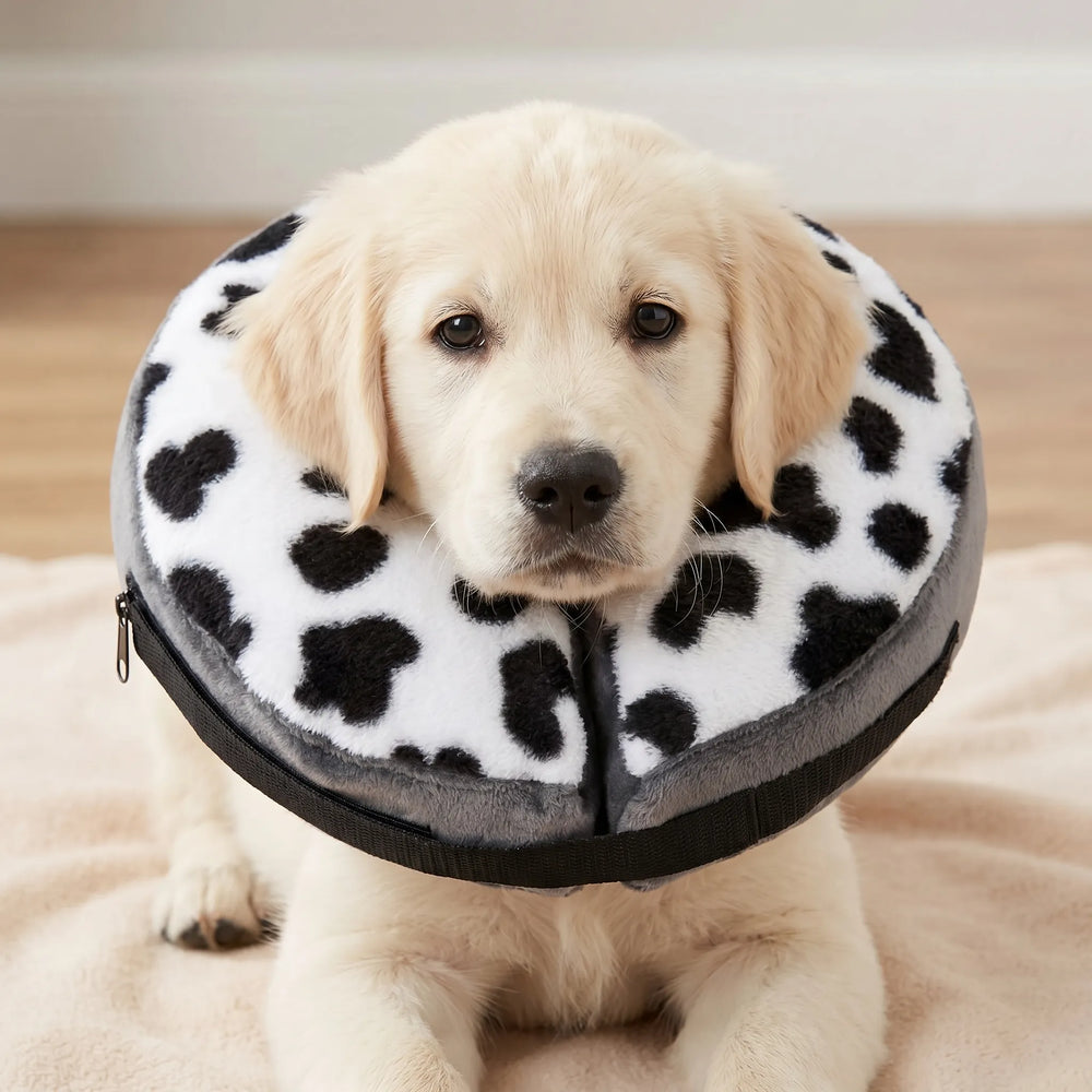Cow Print Inflatable Protective Collar